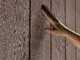 Keter Signature Walnut 7511/1175 - Garden shed - With windows - 230x350x246 cm