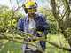 Karcher CNS 18-30 - 18V 5Ah battery-powered electric saw - 30cm blade