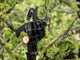 Karcher TLO 18-32 - Battery-powered pruning shears - 18V 5Ah
