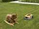 Stiga Vista A 6v - Robot Lawn Mower - Without Installation - With 2 Ah E-Power Battery