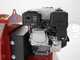 Ceccato Tritone Sprint - Professional petrol garden shredder - Honda GP 160 engine