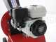 Ceccato Tritone Sprint - Professional petrol garden shredder - Honda GP 160 engine