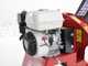 Ceccato Tritone Sprint - Professional petrol garden shredder - Honda GP 160 engine