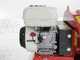 Ceccato Tritone Sprint - Professional petrol garden shredder - Honda GP 160 engine