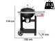Weber Performer - Charcoal Barbecue
