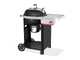 Weber Performer - Charcoal Barbecue
