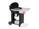 Weber Performer - Charcoal Barbecue