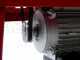 Palumbo Pavi TS INOX - Tomato Press with Bench - 335 W Electric Motor 