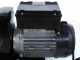 Palumbo Pavi SM 5 INOX - Tomato Press with 600W 220V Electric Motor 