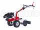Lawn Scarifier (tow-behind detatcher) for EuroSystems P70 two wheel tractor