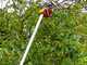Wolf Garten RR 200 - Professional pruning shear - 200 cm extension pole - &Oslash; 32 mm