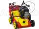 WOLF Garten VA 389 B - Lawn Scarifier with Fixed Blades - B&amp;S 750 Engine