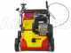 WOLF Garten VA 389 B - Lawn Scarifier with Fixed Blades - B&amp;S 750 Engine