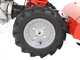Diesse Minitriss - Petrol Two-wheel Tractor - Honda GX200 - 5.8HP