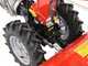 Diesse Minitriss - Petrol Two-wheel Tractor - Honda GX200 - 5.8HP