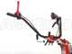 Diesse Minitriss - Petrol Two-wheel Tractor - RATO R210 - 6.7HP