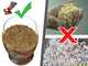 GeoTech EWPM200T - Three-phase Wood Pellet Machine - Home Production of Pellet for Heating