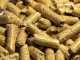 GeoTech EWPM150T - Three-phase Wood Pellet Machine - Home Production of Pellet for Heating