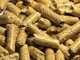 GeoTech TWPM200 - Tractor-mounted Wood Pellet Machine - Home Production of Pellet for Heating