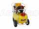 GeoTech SP 550 4S ALU - Petrol Sprayer Pump - 4-stroke Petrol 