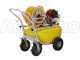 GeoTech SP 550 4S ALU - Petrol Sprayer Pump - 4-stroke Petrol 