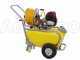GeoTech SP 540 4S - Wheeled Petrol Sprayer Pump - 4-stroke Petrol
