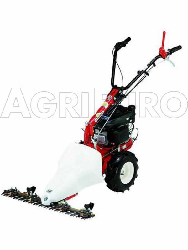 Eurosystems P55 - Multifunctional rotary mower - Honda GCVX 170