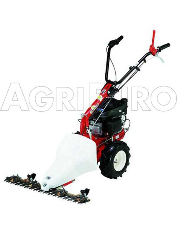 Eurosystems P55 - Multifunctional twin-blade mower - Loncin 196 OHV