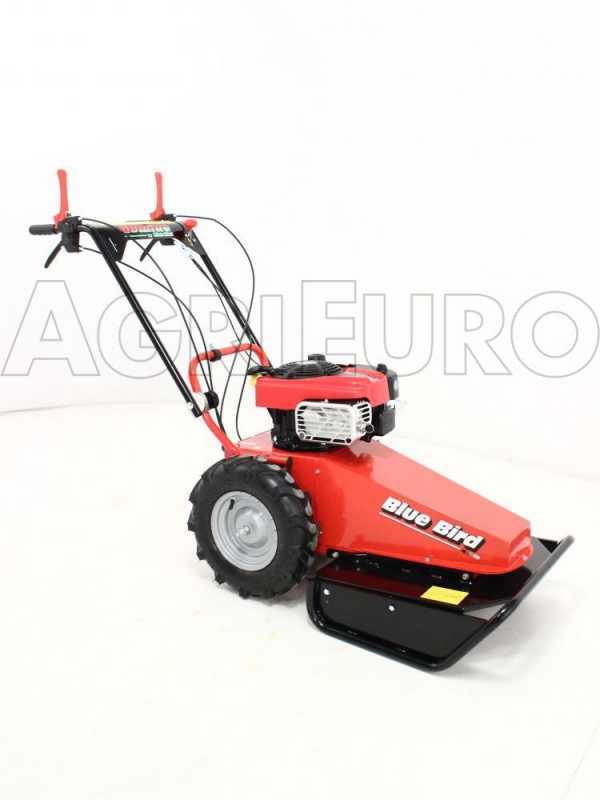 Briggs and stratton brush cutter clearance
