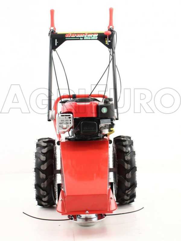Briggs and stratton 850 commercial sales
