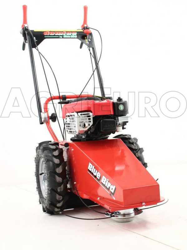 Briggs and best sale stratton 850 commercial