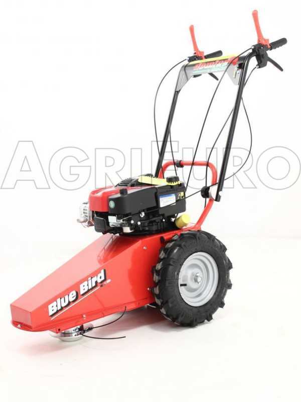 Briggs and stratton wheeled strimmer deals