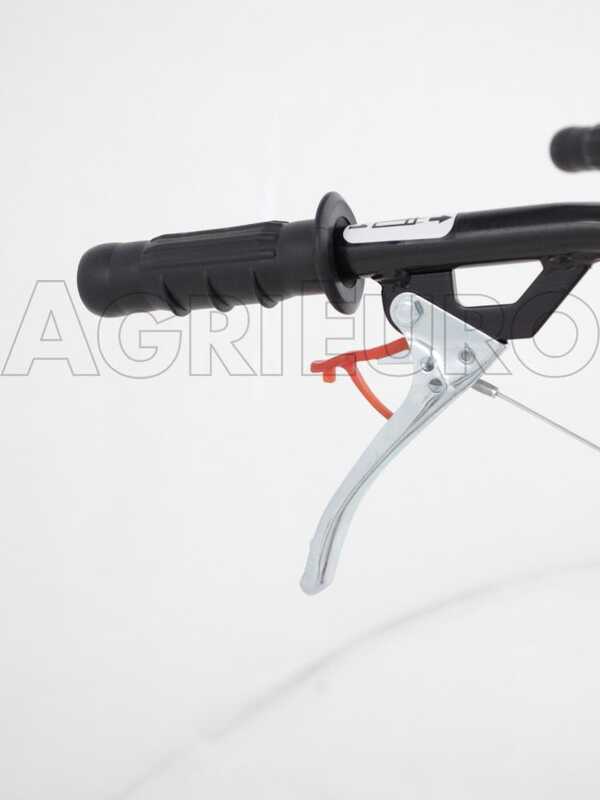 Eurosystems Z2 - 4 HP Petrol Garden Tiller - Loncin 123 T Engine
