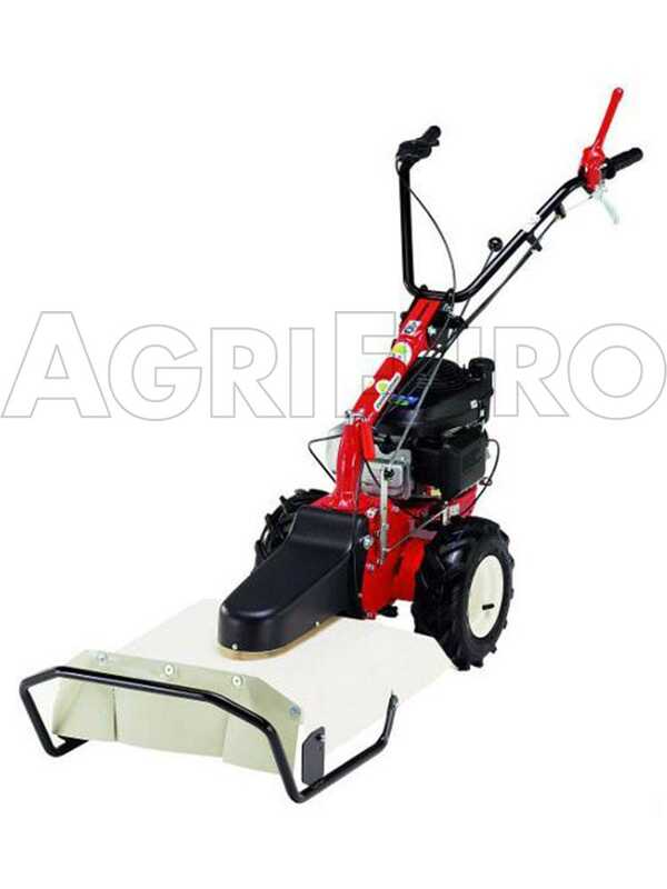 Eurosystems P55 - Petrol Brush Cutter - Falciatutto PRO V2 - Loncin 196 cc