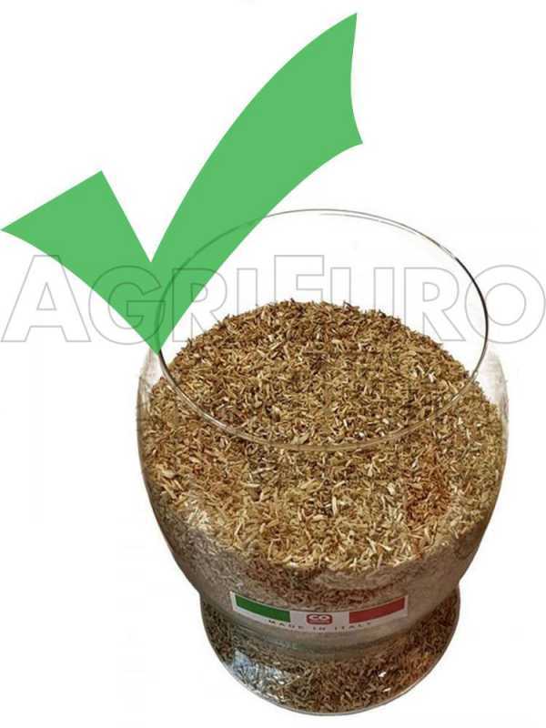 Ceccato Olindo Single-phase Wood Pellet Machine, 3 Hp, for Domestic Production of Pellet for Heating