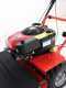 Blue Bird Alhambra Pro Speed - Motor mowers with rotary blades - B&amp;S 850