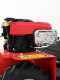 Blue Bird Alhambra Pro Speed - Motor mowers with rotary blades - B&amp;S 850