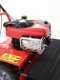 Blue Bird Alhambra Pro Speed - Motor mowers with rotary blades - B&amp;S 850