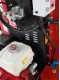 Ceccato Tritone Super Monster - Professional petrol garden shredder - Honda GX390 engine
