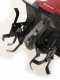 Einhell GC-RT 7530 - Electric Garden Tiller - 750 W - 4 Rotary Hoes Rows
