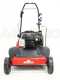 Eurosystems SC 42 B - Lawn Scarifier with Fixed Blades - B&amp;S 450 Engine