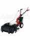Eurosystems P55 - Multifunctional rotary mower - Honda GCVX 170