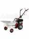 Eurosystems P55 - Multifunctional rotary mower - Honda GCVX 170