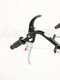 Eurosystems Z2-RM - 3.5 HP Petrol Garden Tiller - Briggs&amp;Stratton 450 