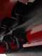 AgriEuro FU SPECIAL 138 Tractor-mounted Side Flail Mower with Arm - Light Series