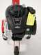 Briggs &amp; Stratton engine 450 E