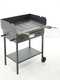 Cruccolini Festa - Wood and charcoal barbecue