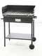 Cruccolini Festa - Wood and charcoal barbecue