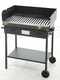 Cruccolini Festa - Wood and charcoal barbecue