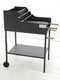 Cruccolini Fuocone - Wood and charcoal barbecue